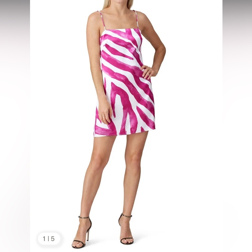Rhea Mini Dress
The East Order pink zebra print slip party revolve formal $170